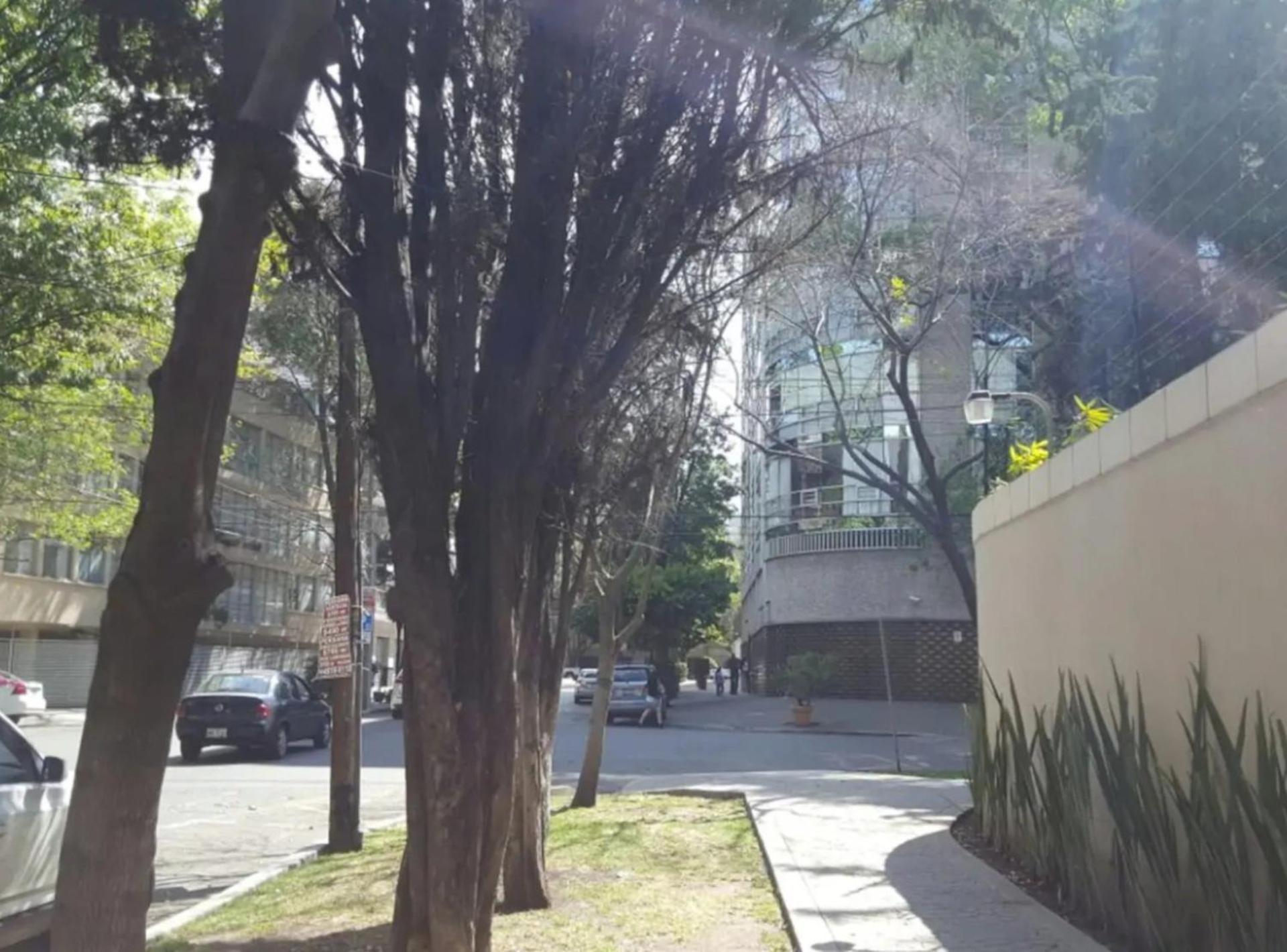Mi Casa #1 At Polanco's Most Exclusive Area * Città del Messico